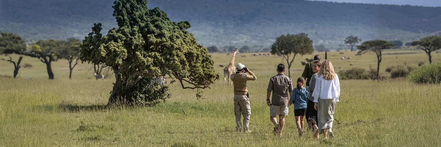 package hotel listing